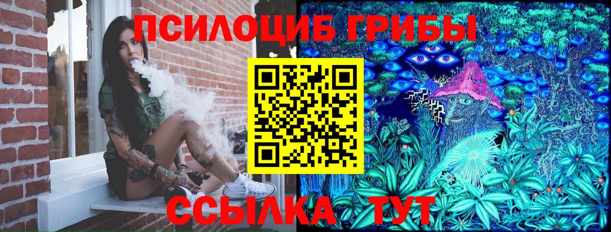 Белово  Галлюциногенные грибы Psilocybine cubensis  Вход с VPN 